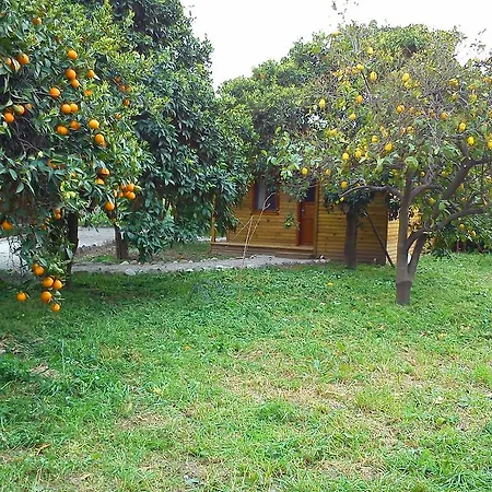 Séjour à la ferme Yesil Bahce Bungalow - Ahsap Evler