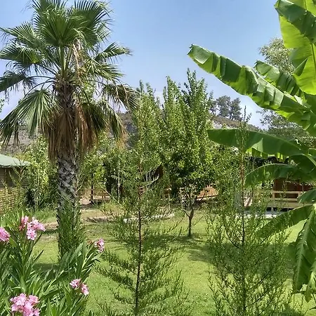 Séjour à la ferme Yesil Bahce Bungalow - Ahsap Evler