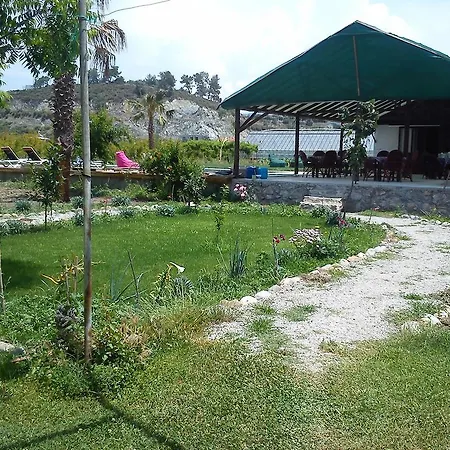 Vakantieboerderij Yesil Bahce Bungalow - Ahsap Evler *