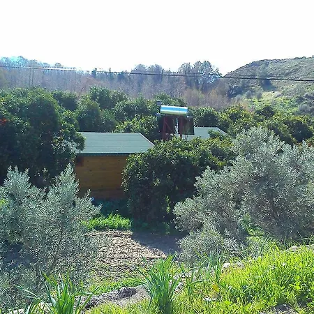 Vakantieboerderij Yesil Bahce Bungalow - Ahsap Evler